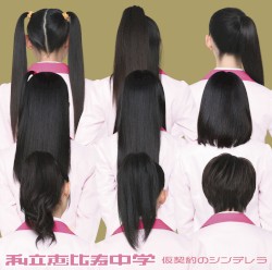 仮契約のシンデレラ