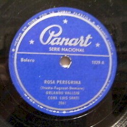 Rosa peregrina / Que murmuren