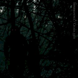 Impermanence / Cicada 3301