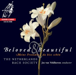 Beloved & Beautiful: Meine Freundin, du bist schön