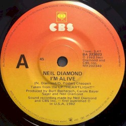 I’m Alive / Lost Among the Stars
