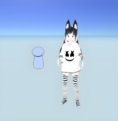 ft.