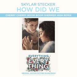 How Did We (Cherry Cherry Boom Boom Shermer High Remix)