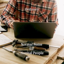 Normal Noise for Normal People