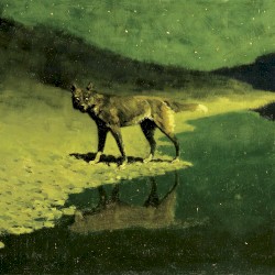 Reality Is for Those Who Are Not Strong Enough to Confront Their Dreams