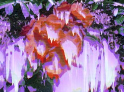 Call Me Anytime (Room 208 edit)