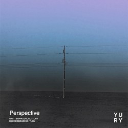 Perspective