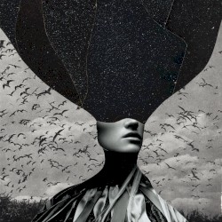 Stilhedens Strømmen I Fuglenes Blod