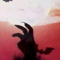 listen to your heart