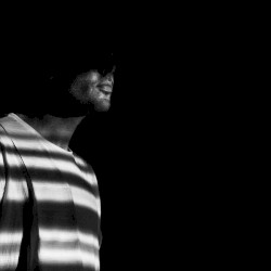 The Black Collection