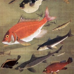 水の底