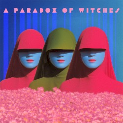 A Paradox of Witches