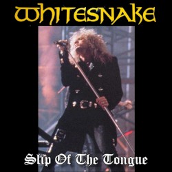 1990-08-18: Monsters of Rock: Donington Park, Derbyshire, UK