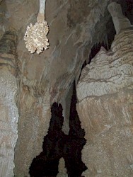 This Twilight Has No Purpose