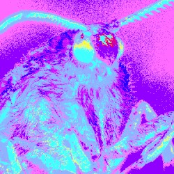 Endless Elevators (remix)