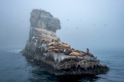 I'm Interested in the Art of Flight, in Formation on the Moon, I Look at the Earth From a Height Distance, and I Sense a Passion Deep Inside; People Think That We're Masses of Sand, but I Know the Truth, That We're Suntan Ants Without Prospective Self-Consciousness