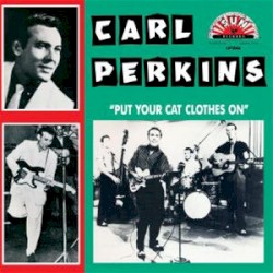Put Your Cat Clothes On!