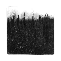 Within Reach of Eventuality