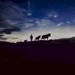 A Shepherds Life (Sonic Story)