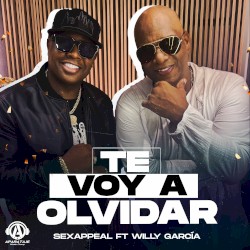 Te voy a olvidar