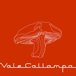 Vale callampa