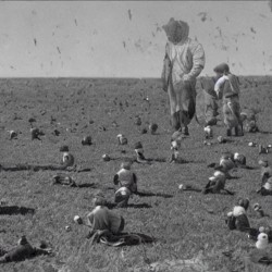 Perhaps More than Words