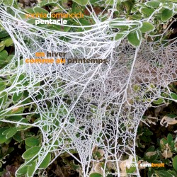 En hiver comme au printemps