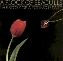 The Story of a Young Heart