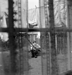 Chaos and creation in the backyard
