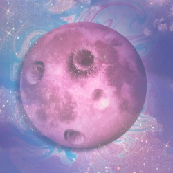 Pink Moon