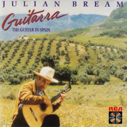 Guitarra: The Guitar in Spain