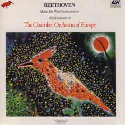 Music for Wind Instruments