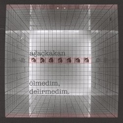 Ölmedim, Delirmedim