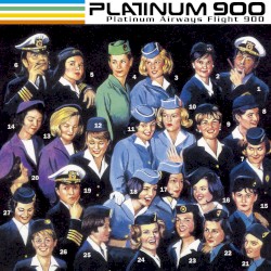 Platinum Airways Flight 900
