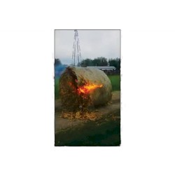 pumpkin patch