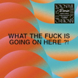 What the Fuck Is Going on Here?!