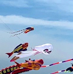 walking sky