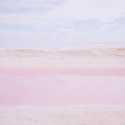 Never Ending Beginnings