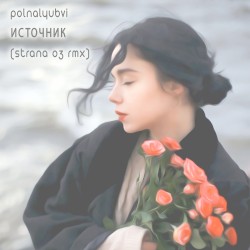 Источник (Strana 03 rmx)