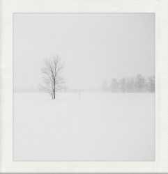 The Colour Of Snow