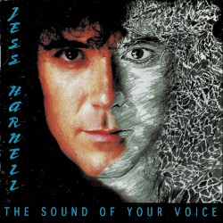 The Sound of Your Voice