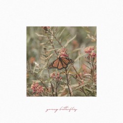Young Butterflies