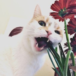 when the afraid becomes the calm