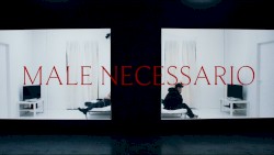 Male necessario