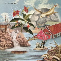 אוקיינוסים