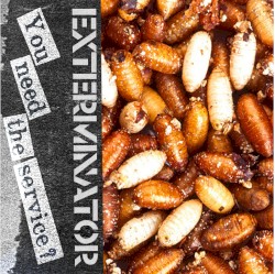 You Need the Service?