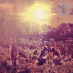 Echo of a Lost Summer