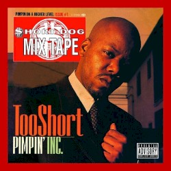 Pimpin’ Incorporated