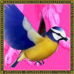Fear Translated Into Beaks & Feathers
