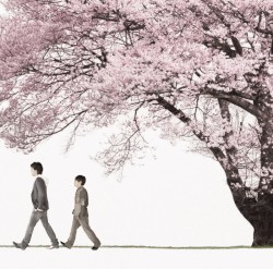 桜 Spring Package